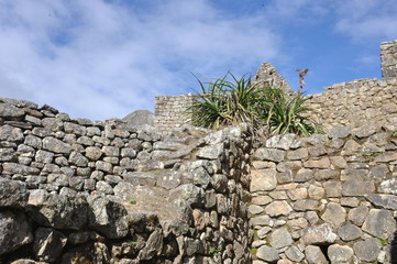 Peru -  Macchu Picchu