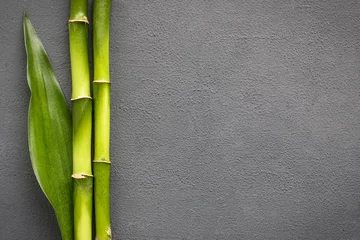 Crédence de cuisine en verre imprimé Bambou bamboo grove and leaves on grey background