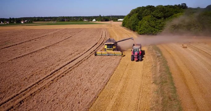 Moissonneuse batteuse versant le bl&eacute; dans la benne