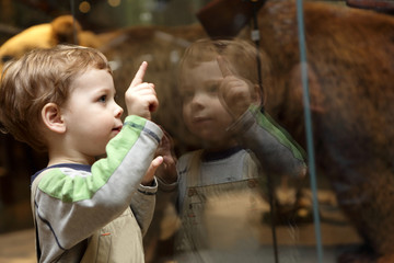 Curiosity child in museum © Arkady Chubykin