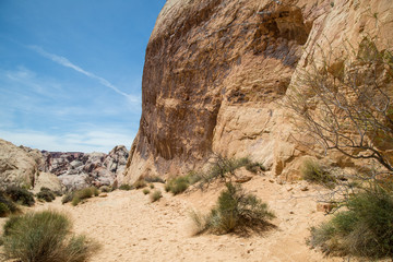 Fototapeta premium Valley of Fire