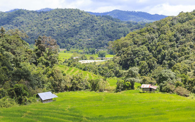 Fototapeta na wymiar Green rice terrace field in Chiang Mai, Thailand.