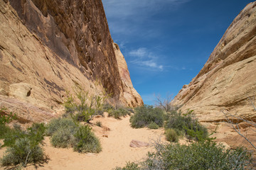 Valley of Fire