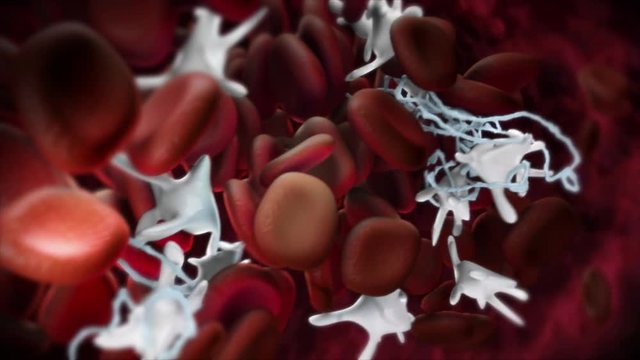 Animation showing the formation of a blood clot, or thrombus. http://www.polymime.com