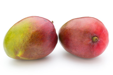 Mango fruit isolated on white background .