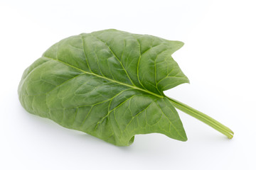 Fresh leaves of spinach on the white background.