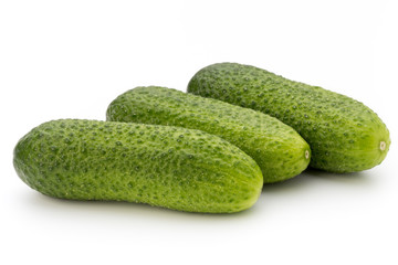 The first spring ecologically cucumbers.