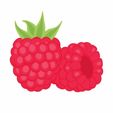 ripe juicy raspberries