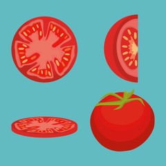 tomato vegetable icon over turquoise background. colorful design. vector illustration