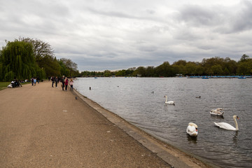 Lake in the center of St James's Park in London