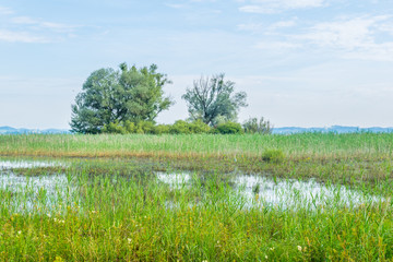 View of a channel leading to the bodensee near the Austrian city Bregenz.
