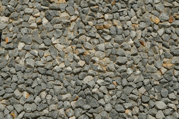 Sediment rock with fossilized seashells on the beach closeup