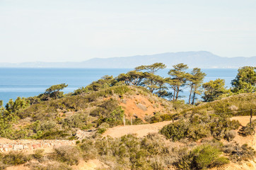 Torrey Pines cliff in pacific ocean in San Diego California with trail