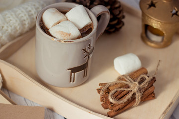 Christmas mood. Cozy Christmas breakfast. Plaid, a tray, a mug of hot cocoa, marshmallows. The book and Christmas card.