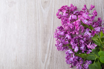 Lilac flowers background