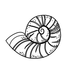 Conch marine animal icon vector illustration graphic design