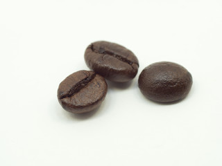 A group of thin coffee beans are on a white background.