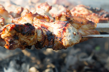 Grilled Marinated Caucasus Barbecue Meat Shashlik Shish Kebab Pork Meat Grilling On Metal Skewer. Nobody