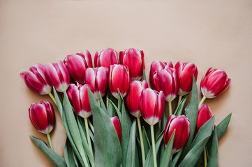 Pink tulips on kraft paper on a beige background