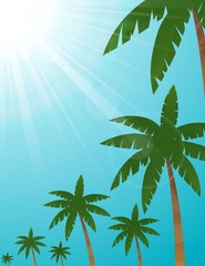 Fototapeta premium Landscape background with palm trees at tropical beach