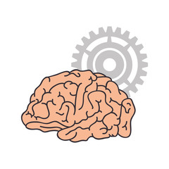 Human brain intelligence icon vector illustration graphic design