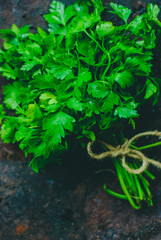the Fresh Green parsley on dark background