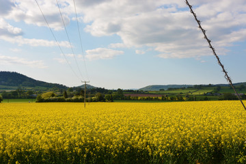 The Countryside Near Hereford, Herefordshire, England.
