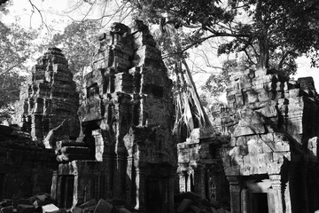 Cambodia Angkor Ta Prohm
