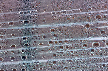 film covered with big quantity of dewdrops