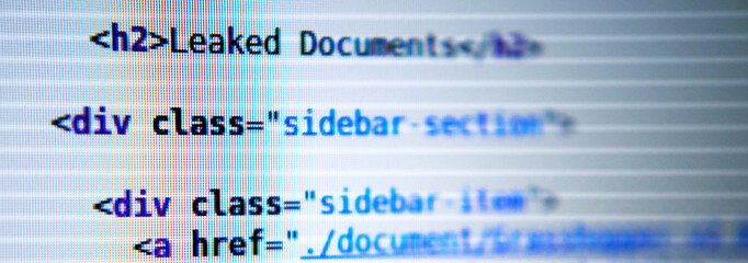'Leaked documents' - real HTML code on computer screen, stylized, selective focus