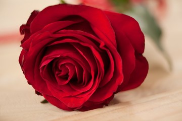 Red rose against wooden background