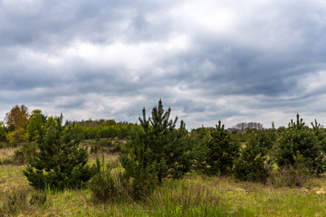 Fototapeta premium Mecklenburg-vorpommern