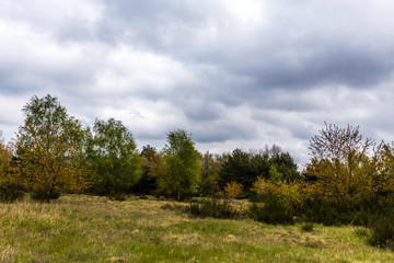 Mecklenburg-vorpommern