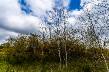 Mecklenburg-vorpommern