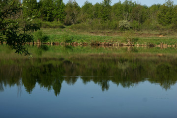 Mirror river in the village in summer