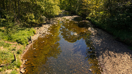 Tranquil river scene with tree reflections.