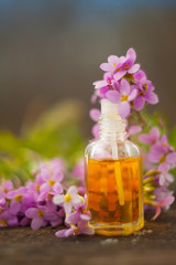 Fototapeta na wymiar Essential oil of Arabis flower on a table in beautiful bottle