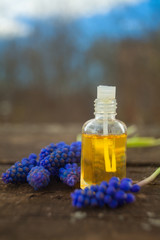 Essential oil of muscari flower on a table in beautiful bottle