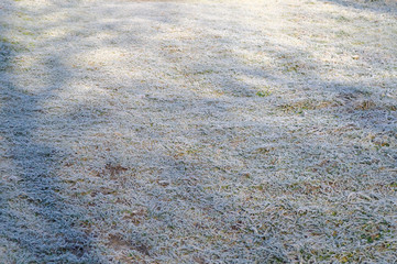 field of frozen grass