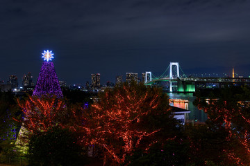 東京　お台場　東京ベイエリアの夜景とレインボーブリッジ