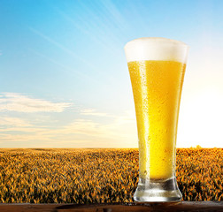 Glass of beer against wheat field and blue sky