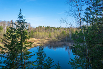 Obraz premium Small forest lake in Sunny day.