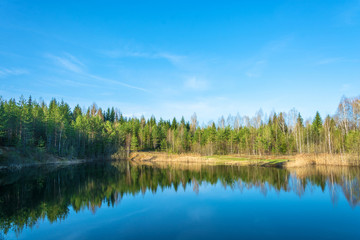 Fototapeta na wymiar Small forest lake in Sunny day.