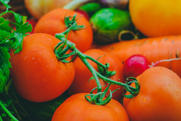 Fresh organic vegetables in the garden