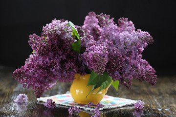 Purple lilac bouquet