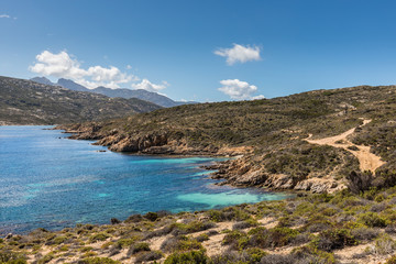 Fototapeta na wymiar Rocky coastline and coastal track at Revellata in Corsica