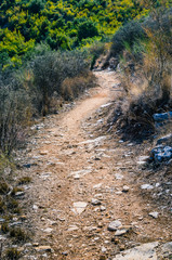 Stony path between dry bushes on Corfu island - Greece