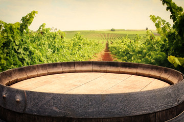 old oak wine barrel in front of wine yard landscape