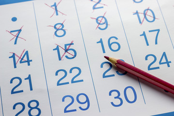 The pencil lies on the calendar