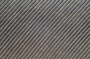 Pigeon feather close-up background texture